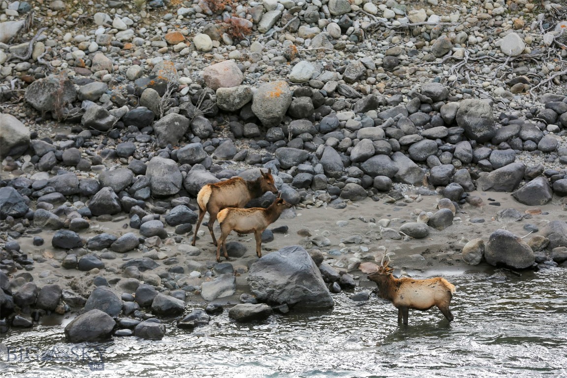 Bigelow - Residential