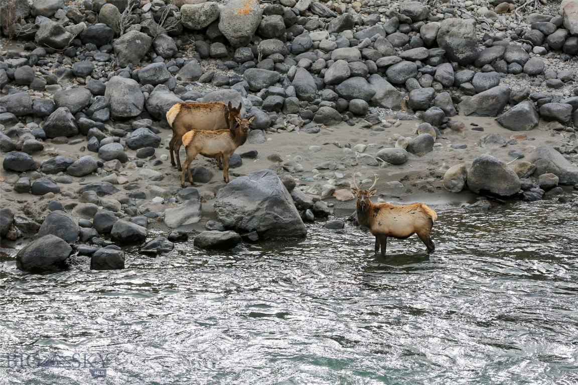 Bigelow - Residential