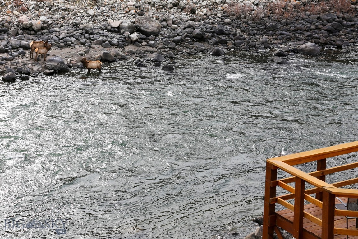 Bigelow - Residential