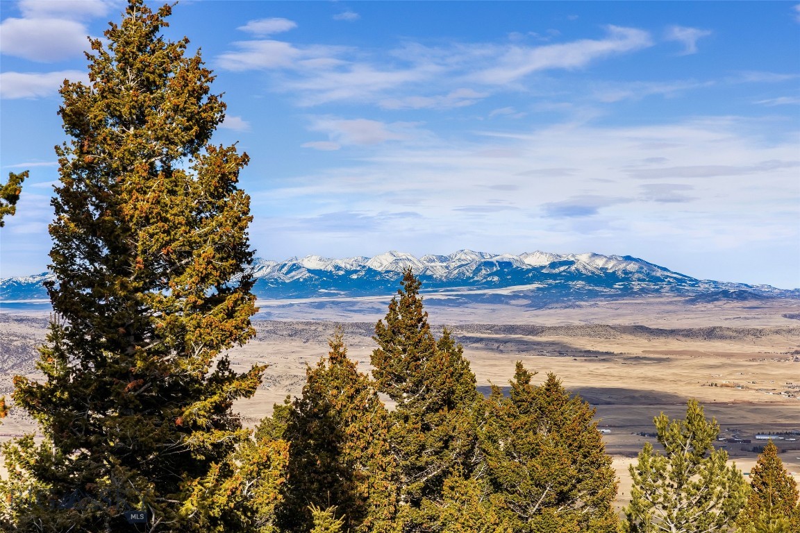 Yellowstone Basin Properties - Land