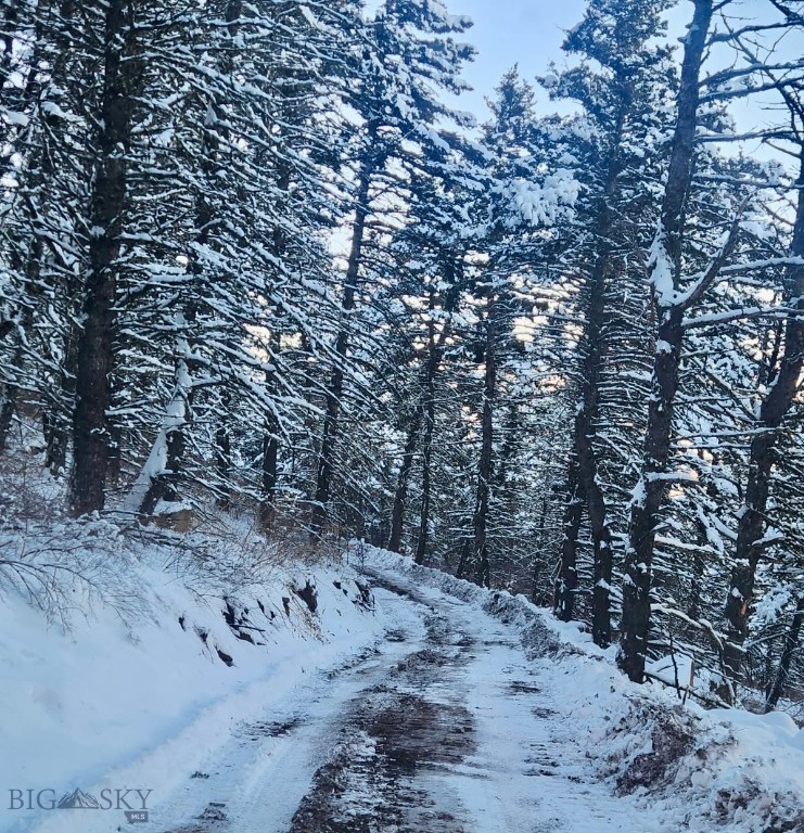 Yellowstone Basin Properties - Land