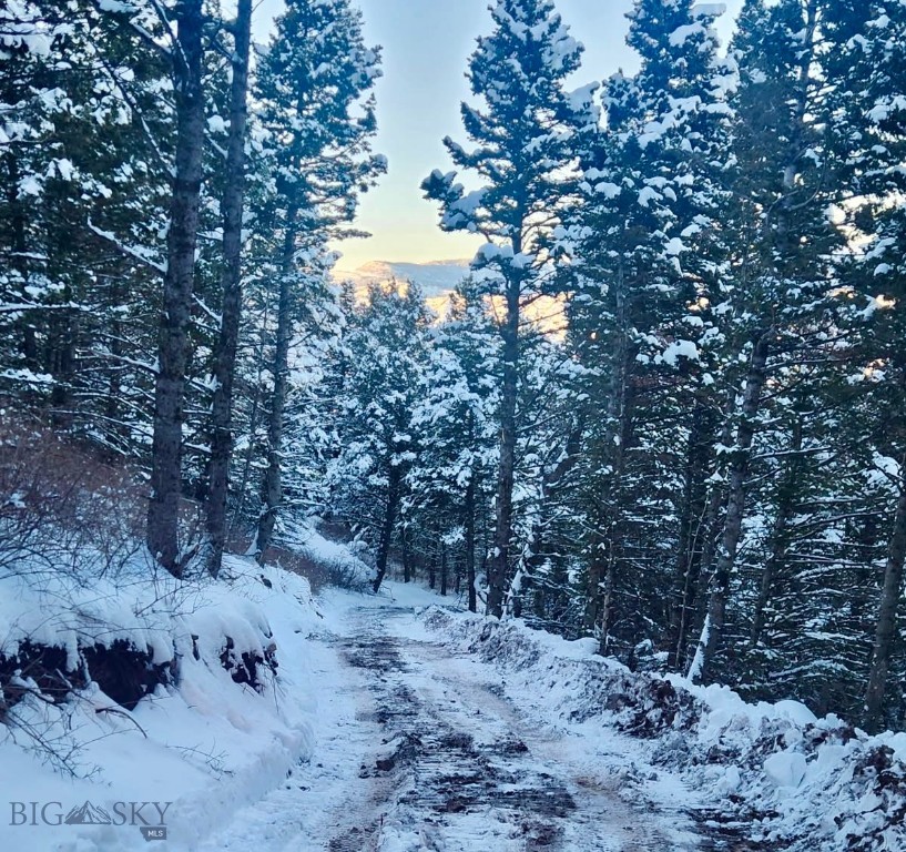 Yellowstone Basin Properties - Land