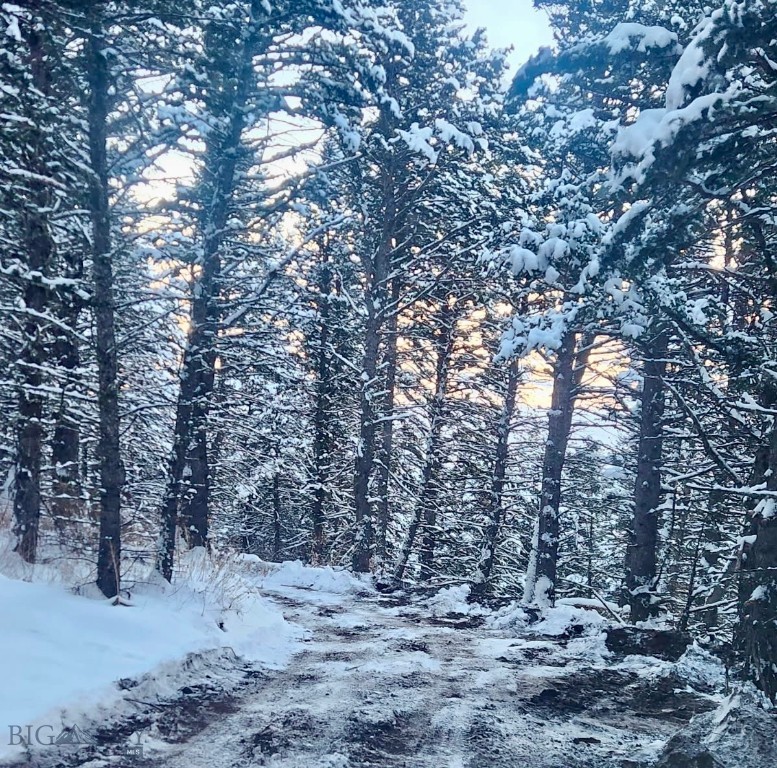 Yellowstone Basin Properties - Land