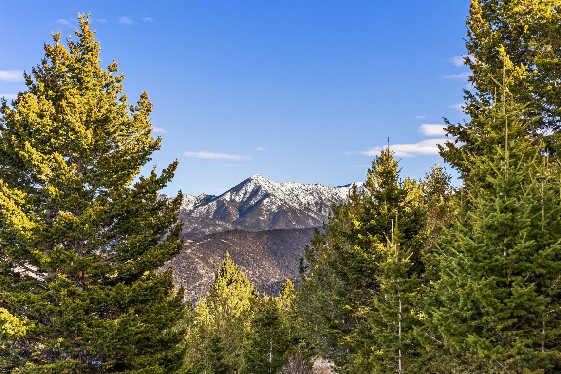 Yellowstone Basin Properties - Land