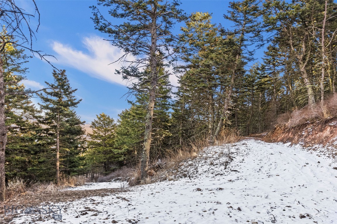 Yellowstone Basin Properties - Land