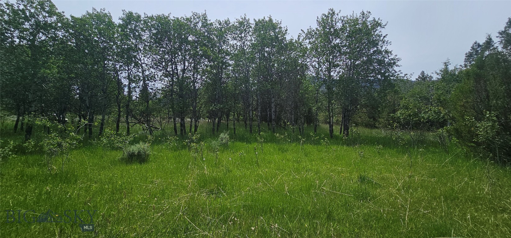 10 Tract, Hall Creek