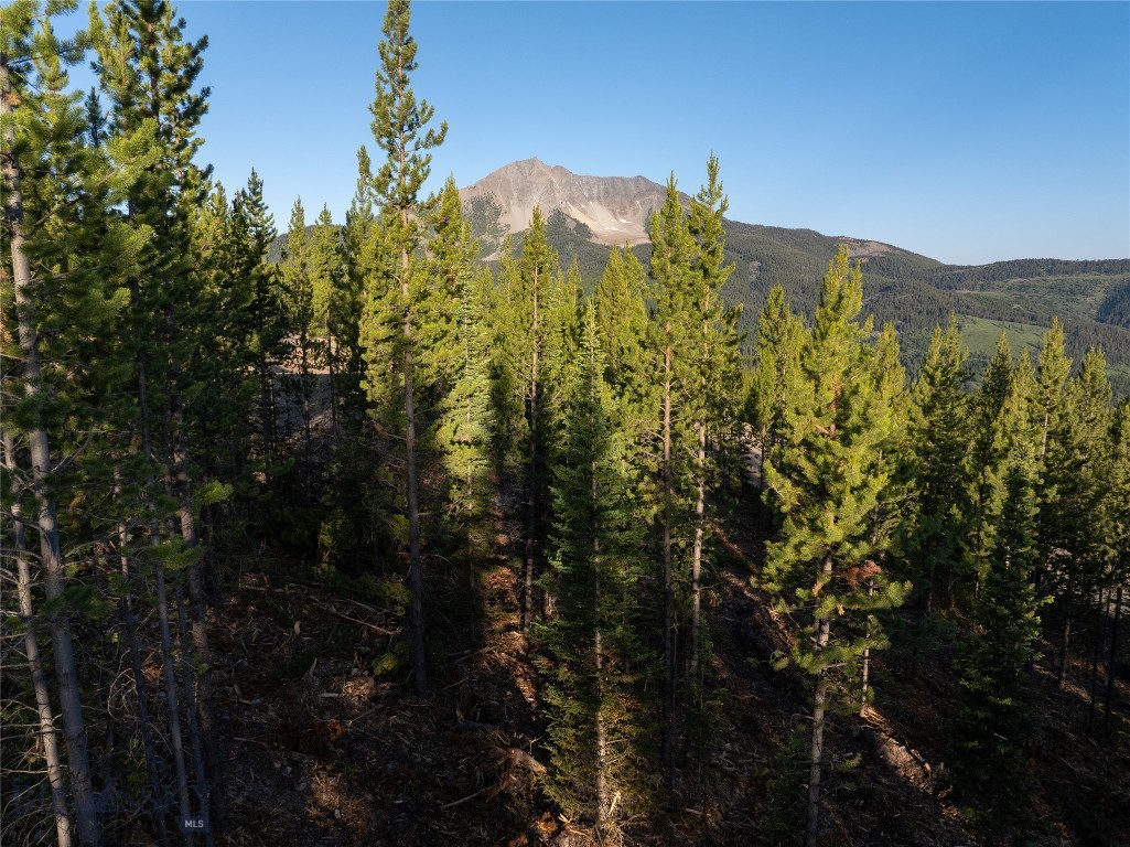 TBD Sawtooth Road Lot 19