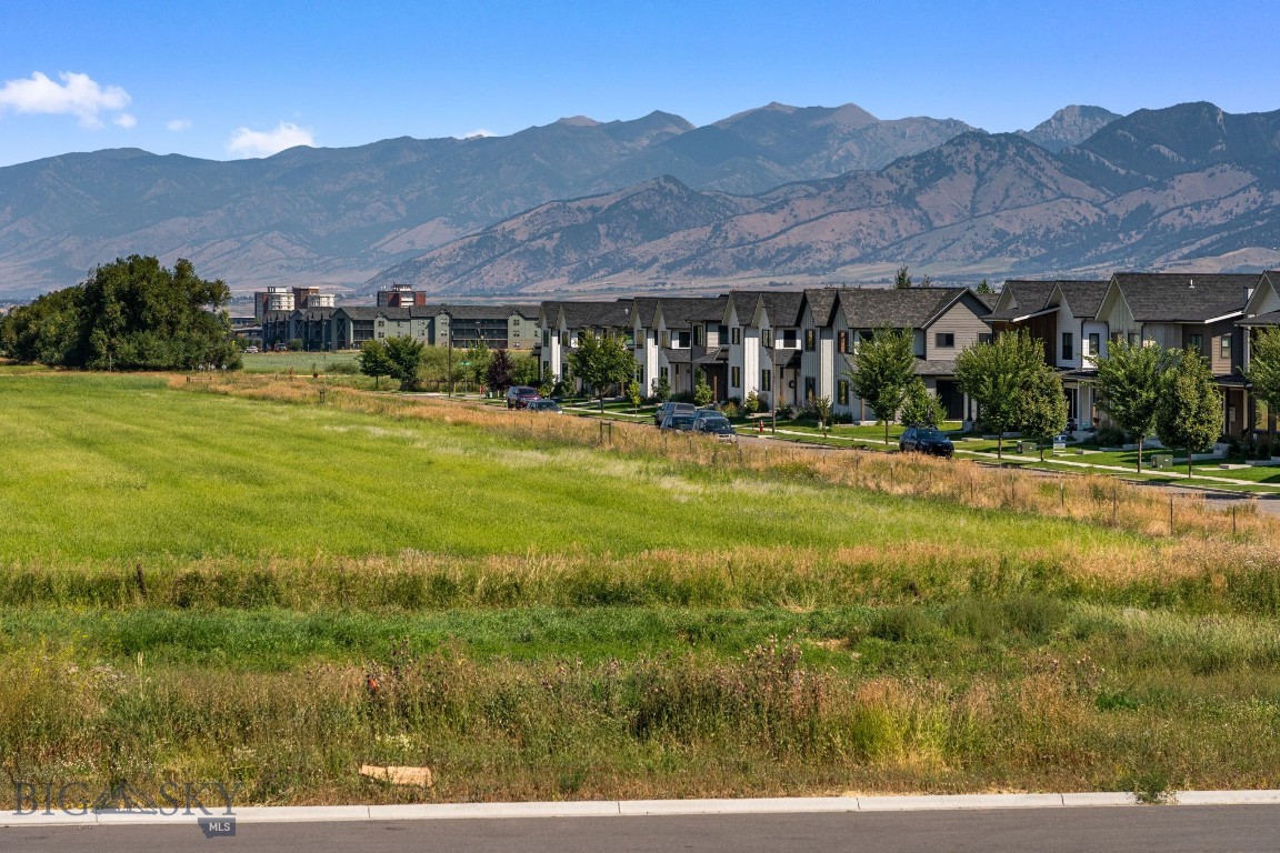 Blackwood Groves - Residential