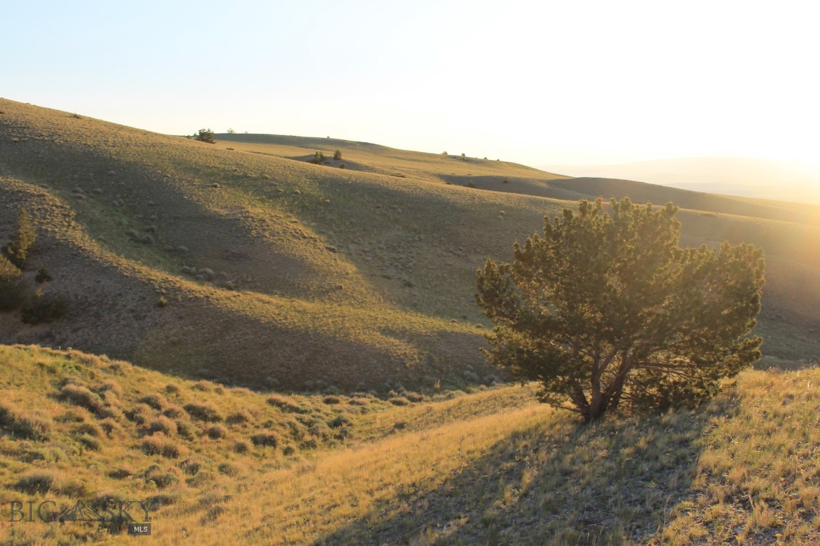 Other - Land