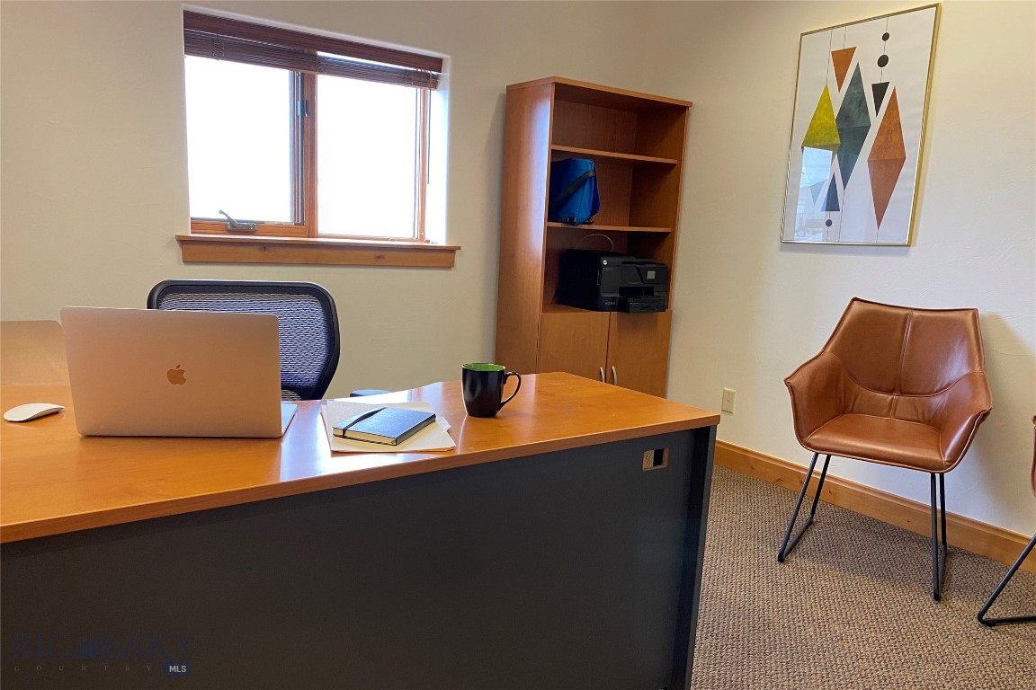 Cougar Park - Commercial Lease