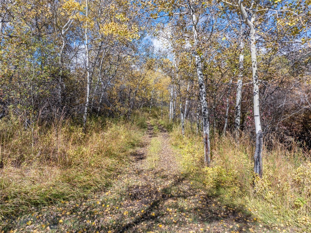 Aspen Meadows - Residential