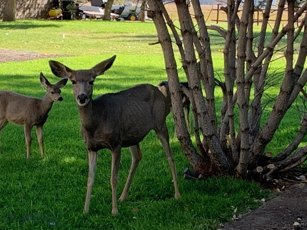 Minor Subdivision - Residential