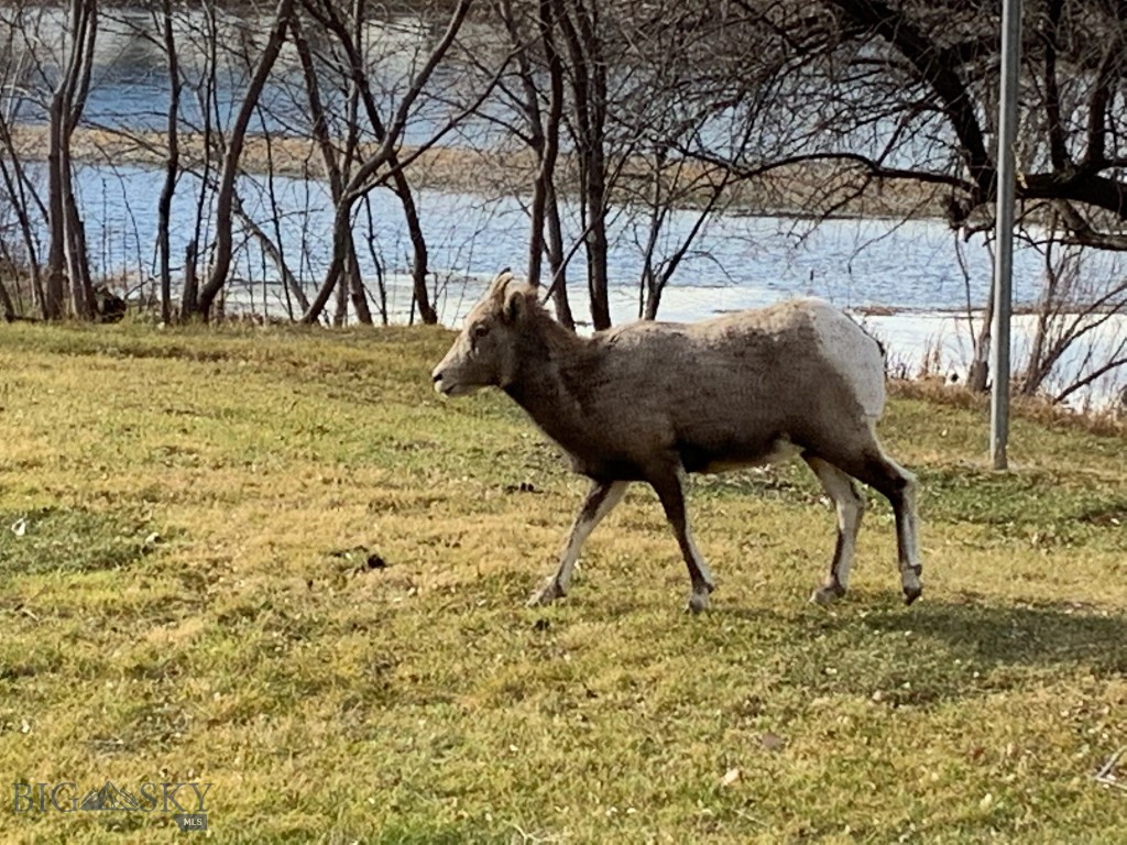 Minor Subdivision - Residential