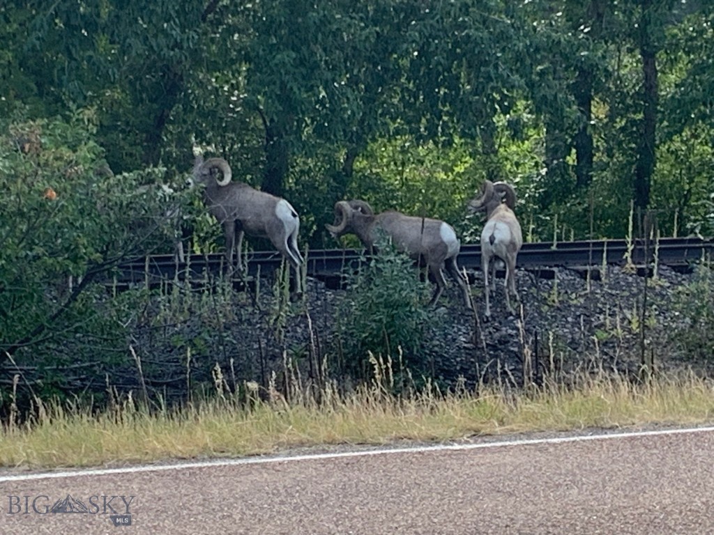 Minor Subdivision - Residential