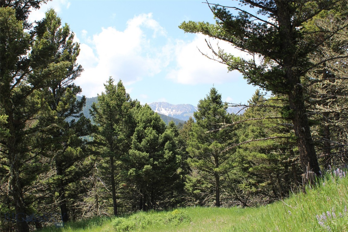 Bozeman, Montana 59715, United States, ,Land,Active,153704