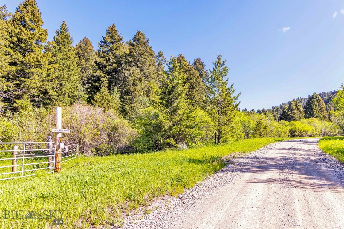 Bozeman, Montana 59715, United States, ,Land,Active,153704