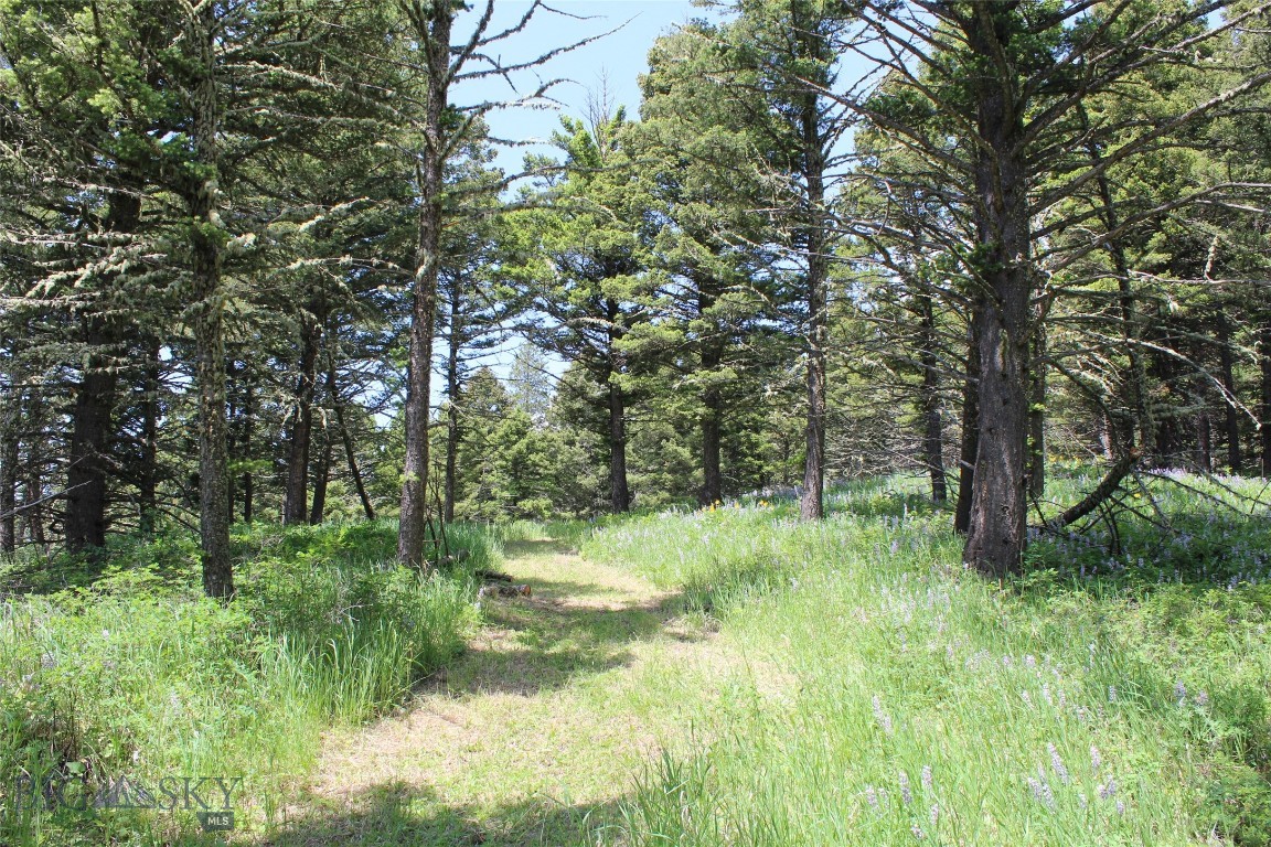 Bozeman, Montana 59715, United States, ,Land,Active,153704