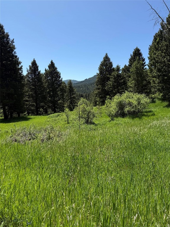 Bozeman, Montana 59715, United States, ,Land,Active,153704