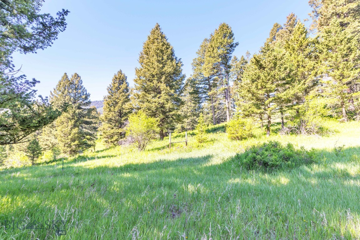14815 Pony Creek