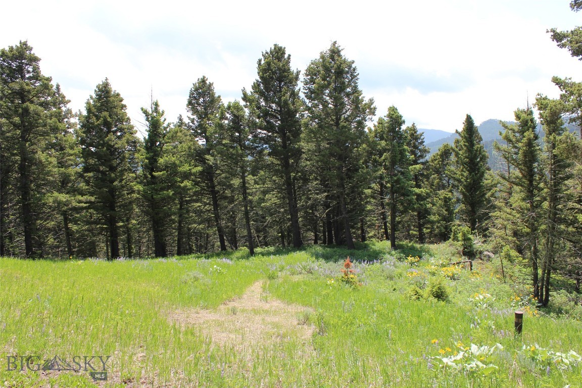 Bozeman, Montana 59715, United States, ,Land,Active,153704