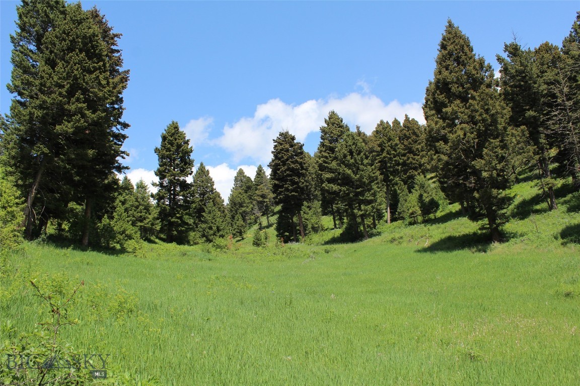 Bozeman, Montana 59715, United States, ,Land,Active,153704