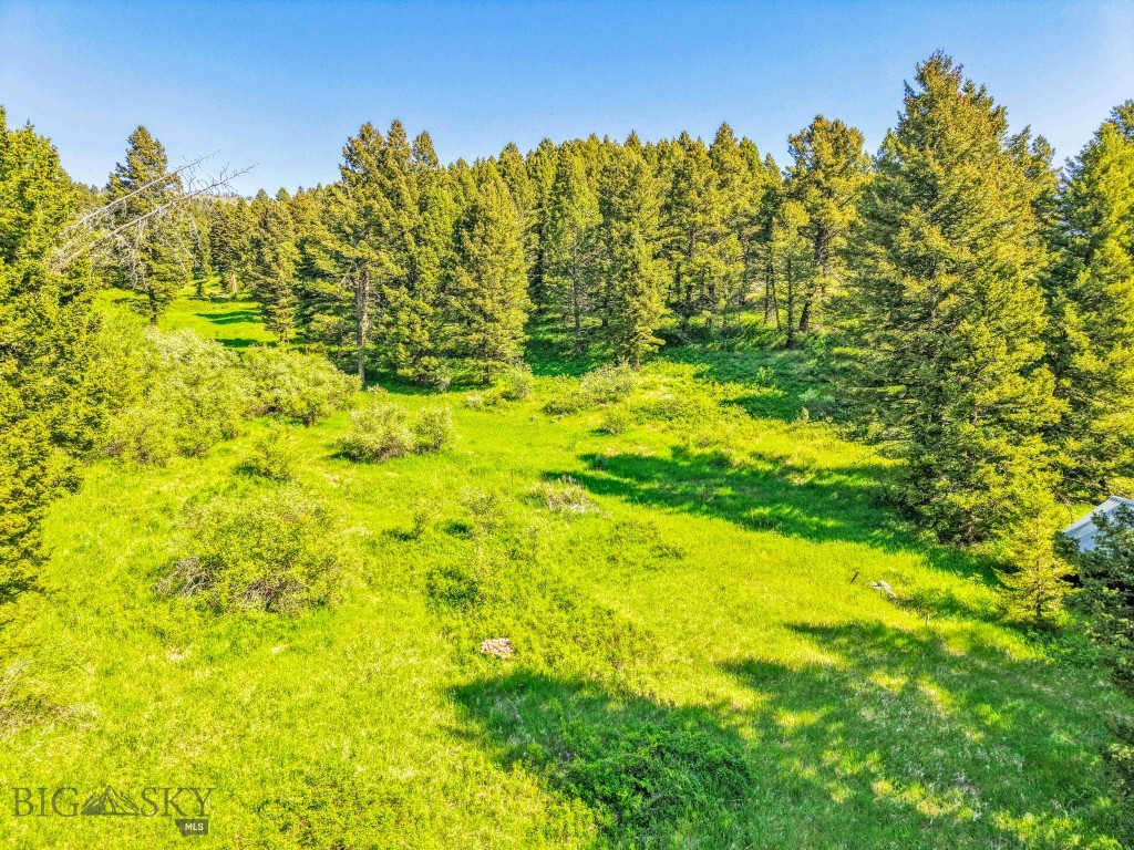 Bozeman, Montana 59715, United States, ,Land,Active,153704