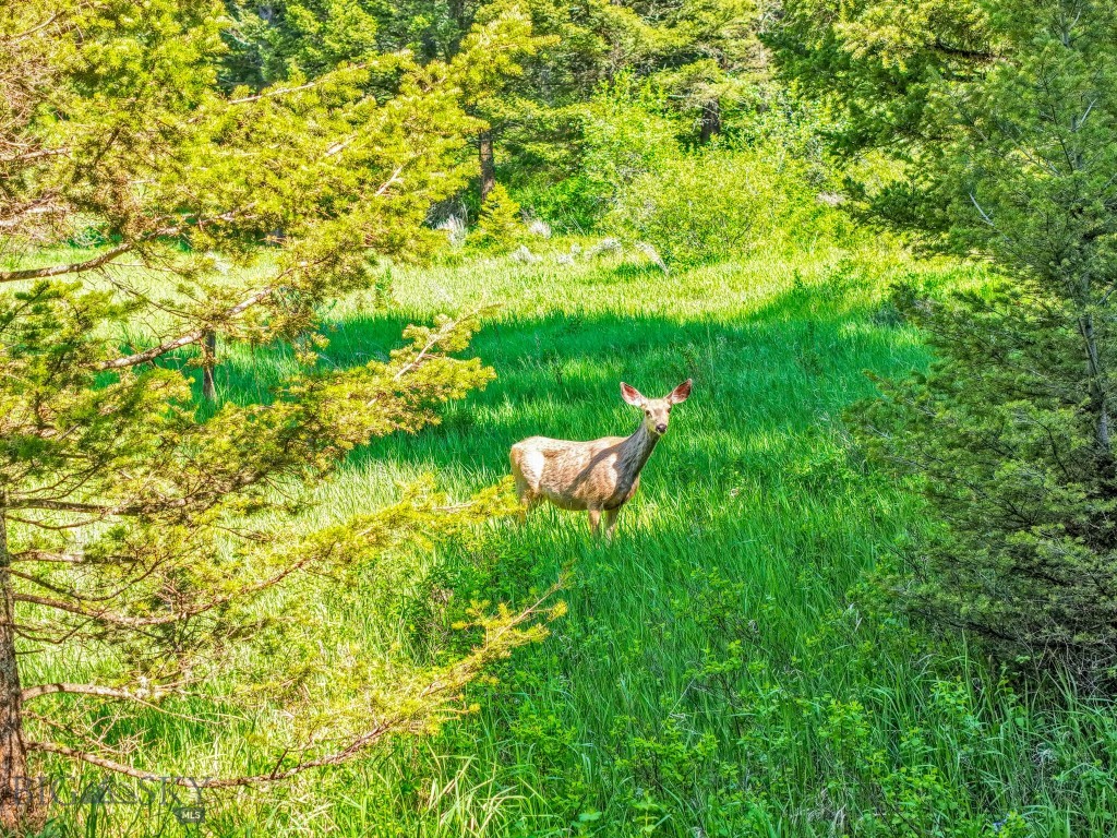 Bozeman, Montana 59715, United States, ,Land,Active,153704