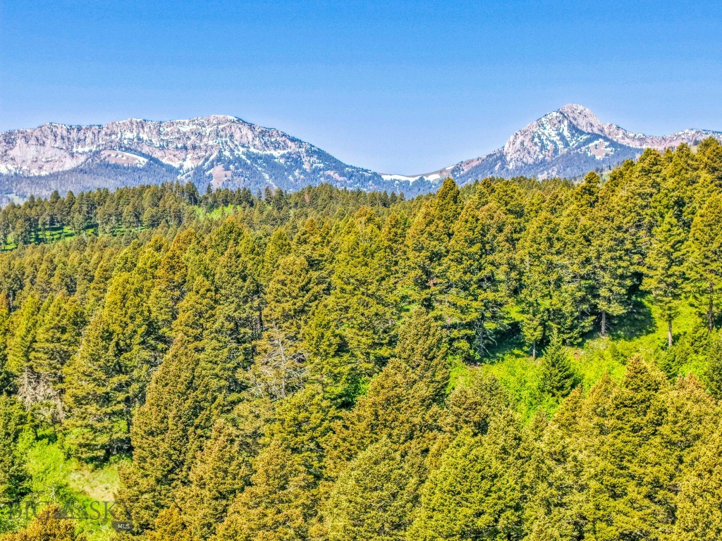 Bozeman, Montana 59715, United States, ,Land,Active,153704