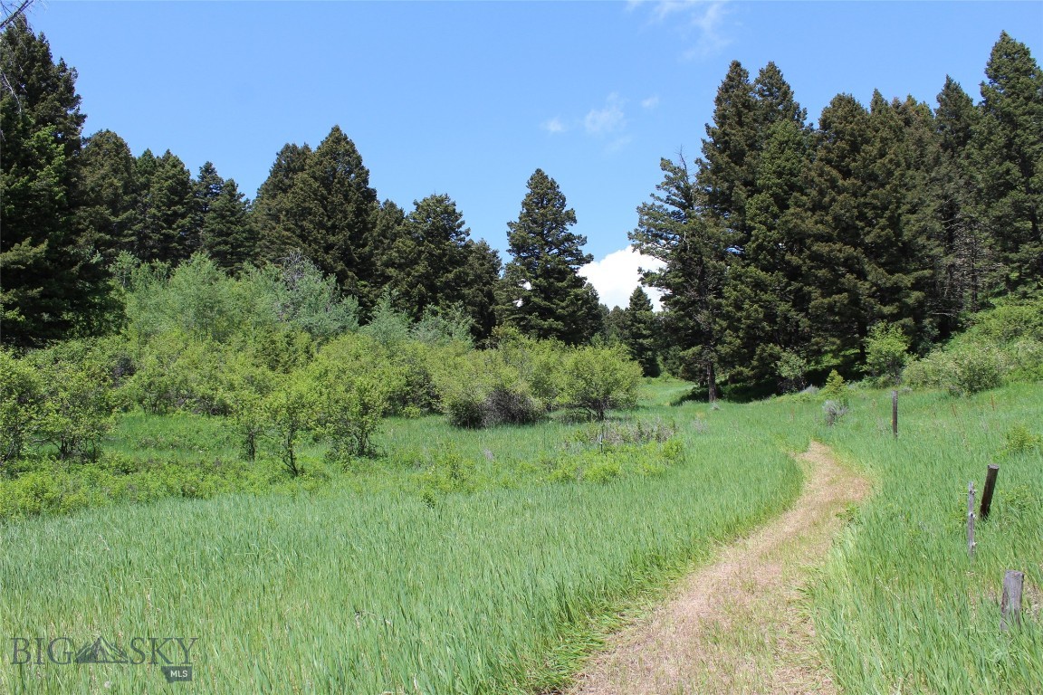 Bozeman, Montana 59715, United States, ,Land,Active,153704