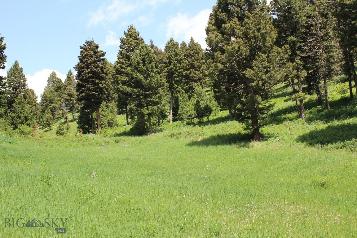 14815 Pony Creek