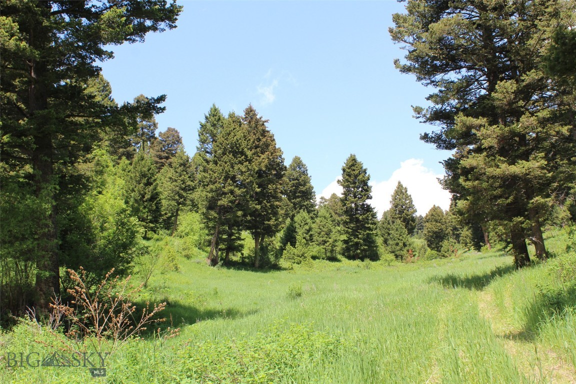 Bozeman, Montana 59715, United States, ,Land,Active,153704