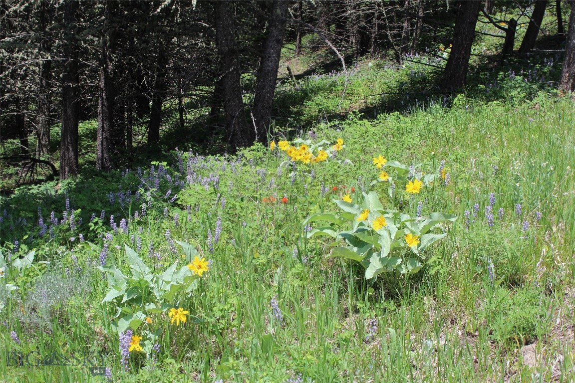 Bozeman, Montana 59715, United States, ,Land,Active,153704