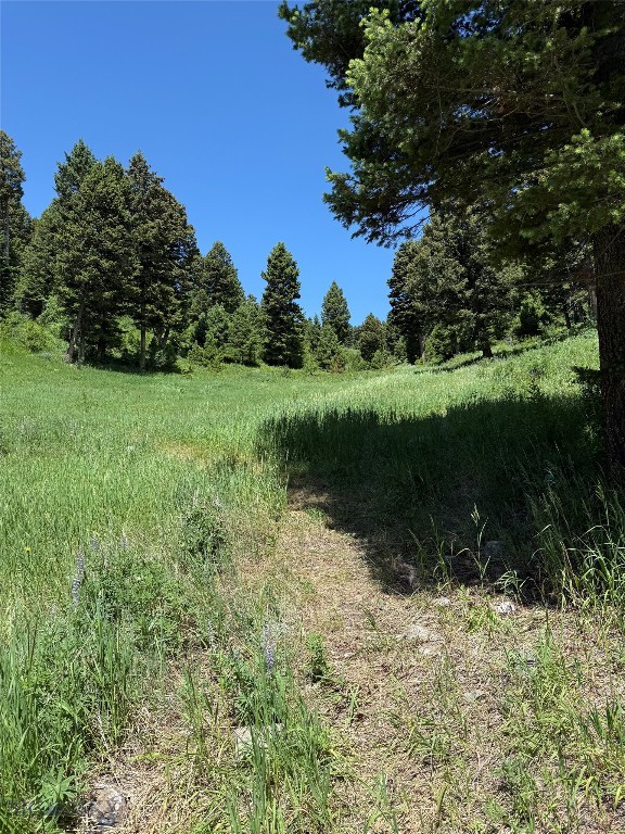 Bozeman, Montana 59715, United States, ,Land,Active,153704