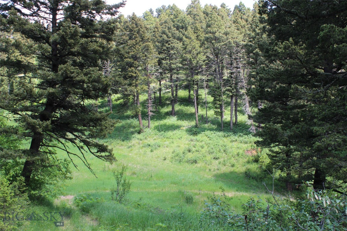 14815 Pony Creek