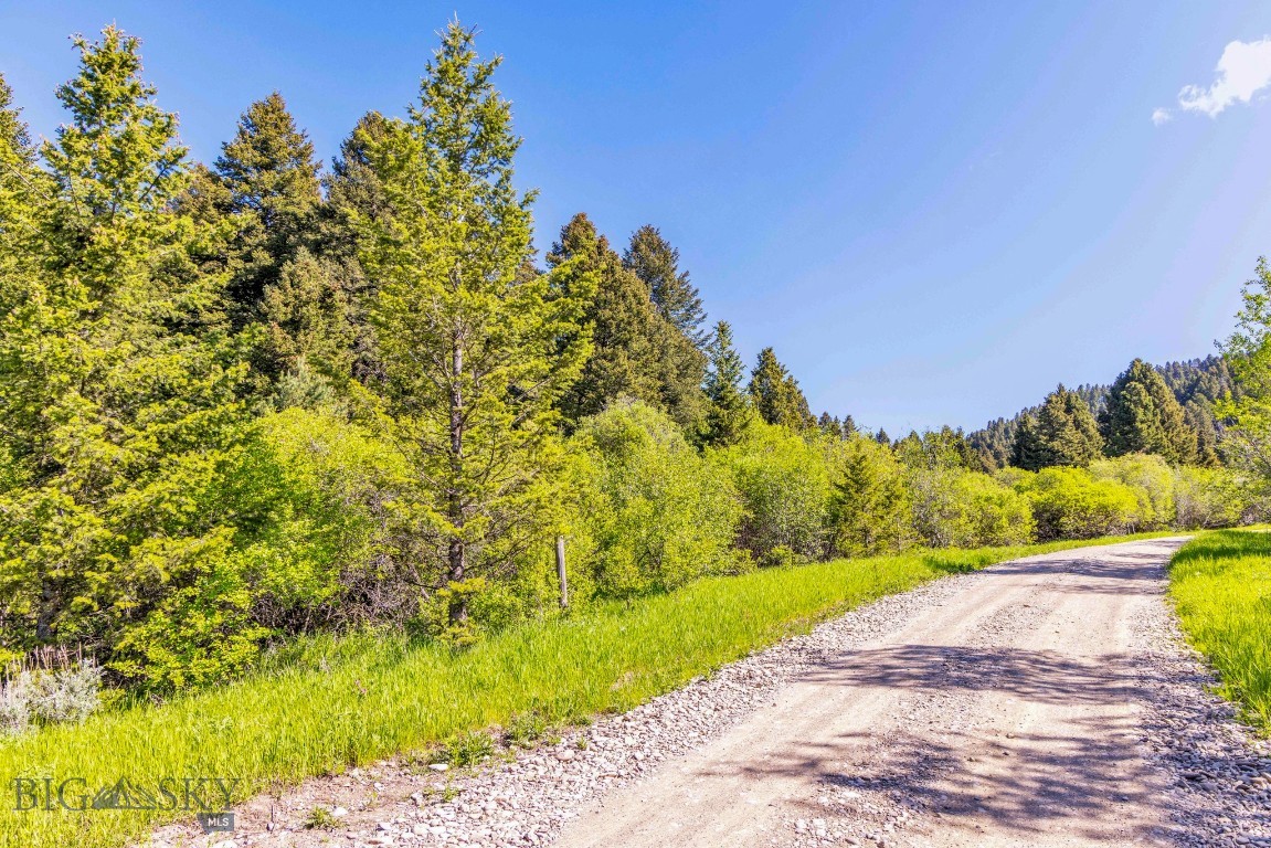 Bozeman, Montana 59715, United States, ,Land,Active,153704
