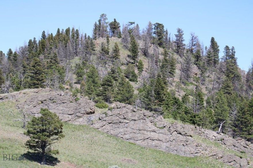 40 acres for sale near Cascade, Montana. The seller will look at all offers!! If large acreage and views are important to you, this property is a perfect fit. The views from this property are absolutely amazing! Enjoy the old-growth Douglas Fir Forest on this property. You'll have the perfect mix of meadows, timber, views, and amazing building sites. The world-famous Missouri River is just a few miles away; this is trout fishing at its absolute best! Take the time to do a quick Google search and look up all the Missouri River has to offer. Also, you're just a few miles from Holter Lake and the Gates of The Mountains Wilderness area! From this property, you have access to nearby public lands, Lakes, and Rivers. Wildlife in this area is extremely abundant here! Call today for your private showing. This is a once-in-a-lifetime opportunity, but a property like this doesn't come available often!