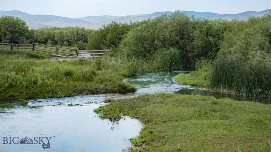 An amazing lot with the Dillon Canal meandering through this Reimington Subdivision land of 4.26 acres.  The well and the septic will be the responsibility of the new owner. Easy access off  Highway 91S and approximately 2 miles to town.  If your looking for a creek, fishing, privacy, then look for further - this is the right property for you.