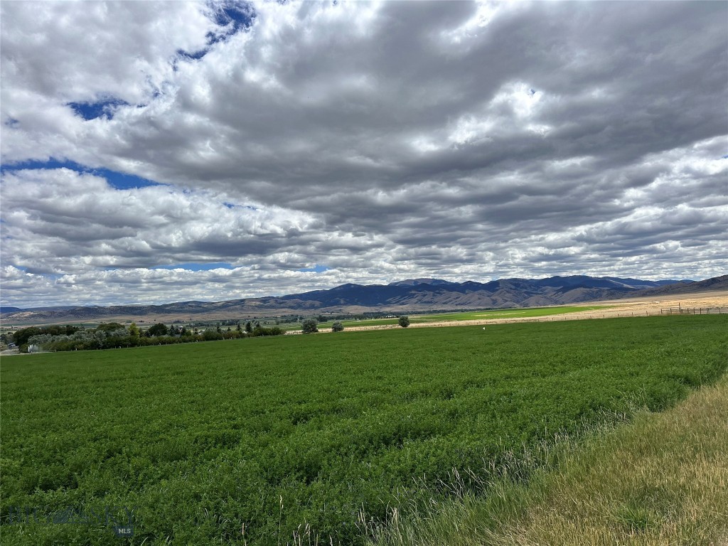 Other - Land