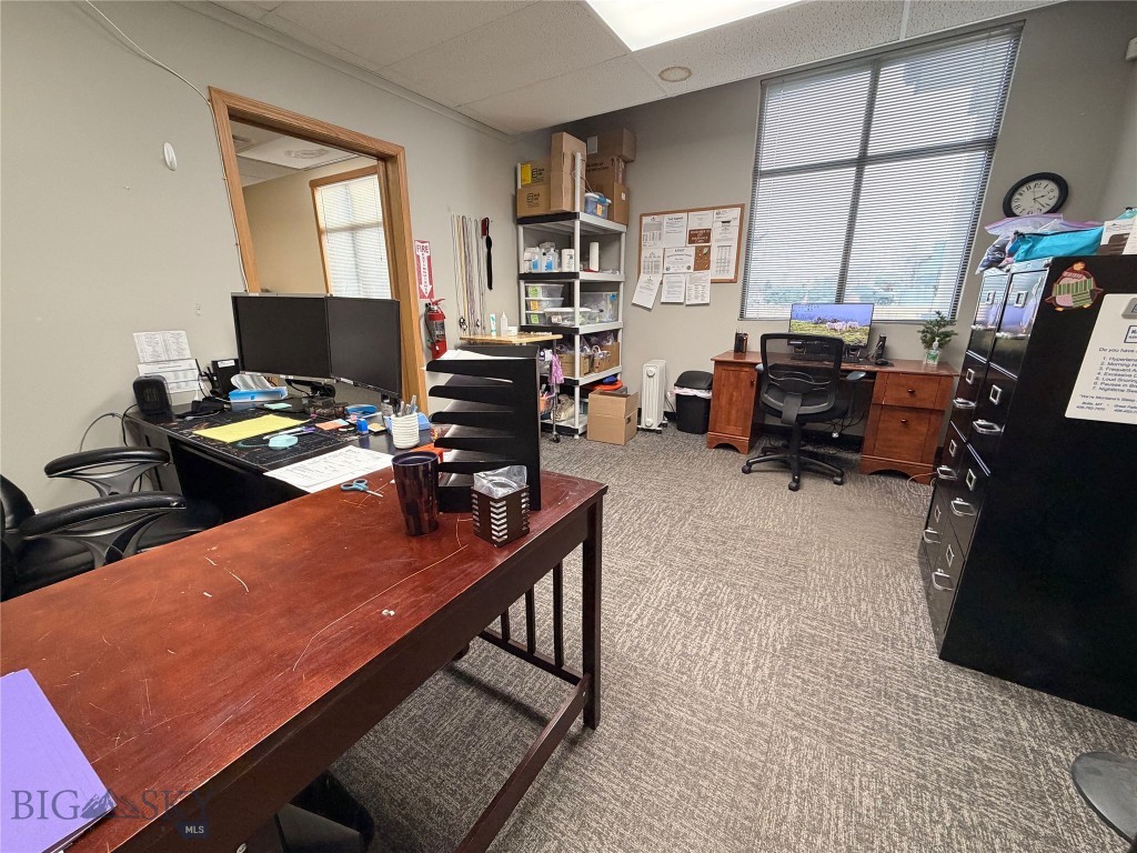 Shedhorn - Commercial Lease