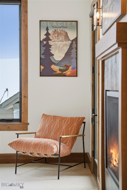 Cascade Ridge Condos - Residential