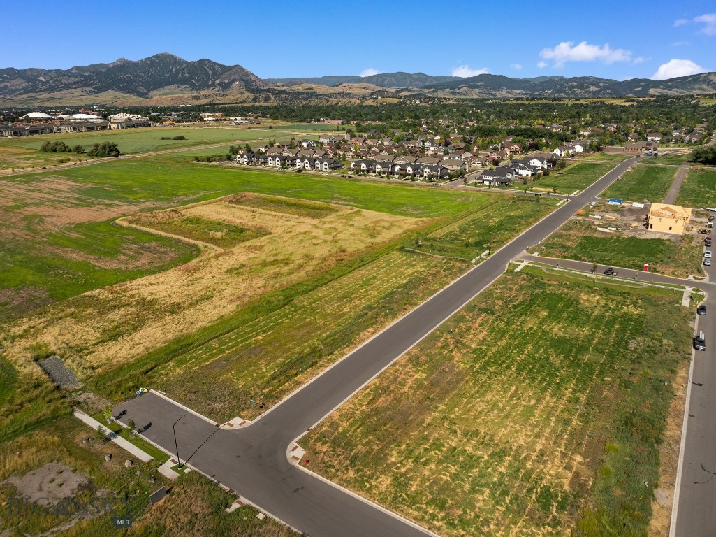 Blackwood Groves - Land