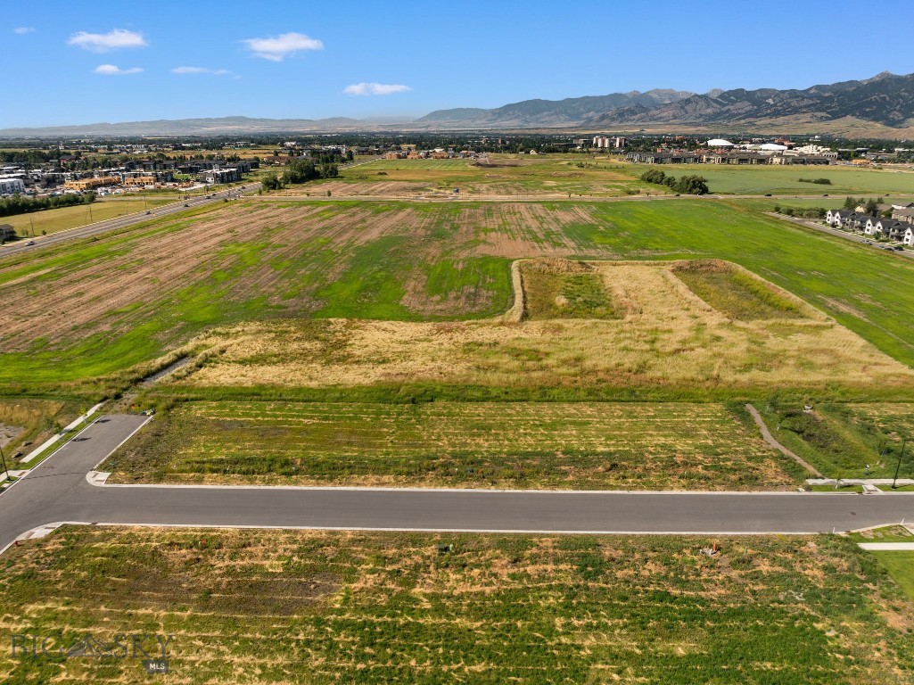 Blackwood Groves - Land