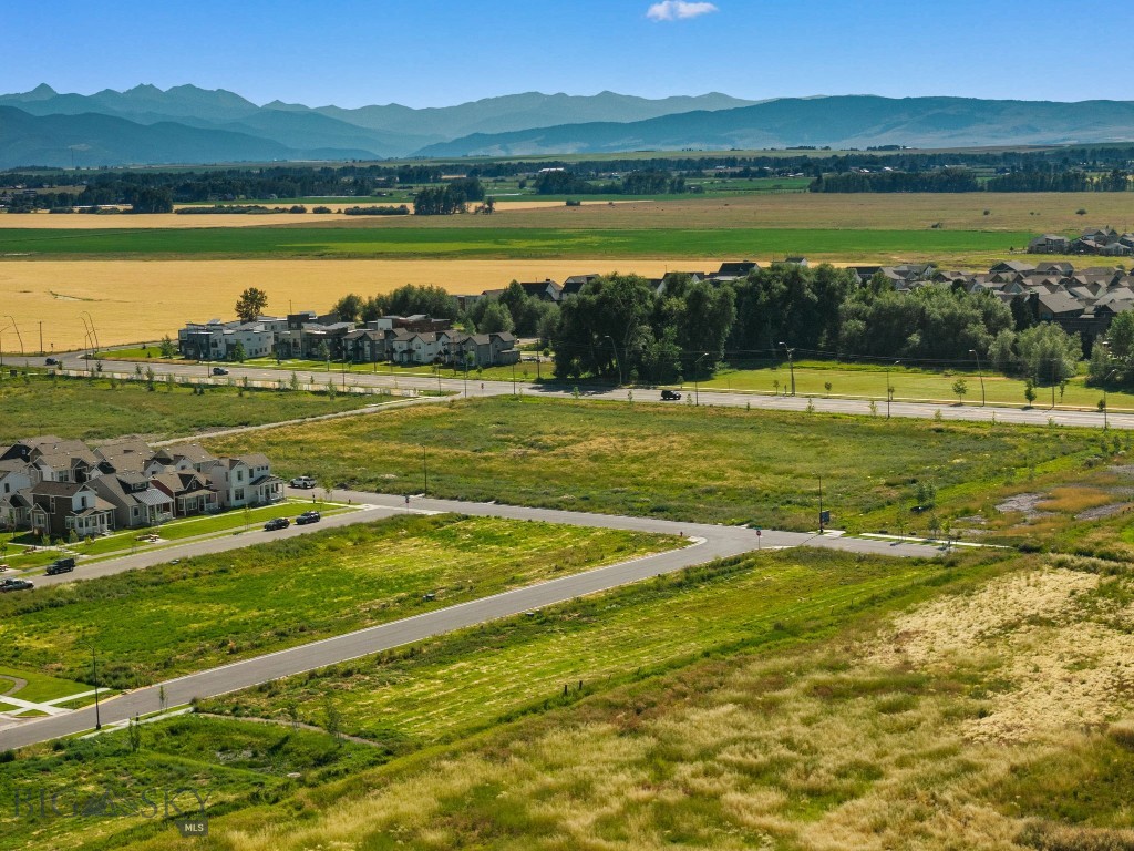 Blackwood Groves - Land