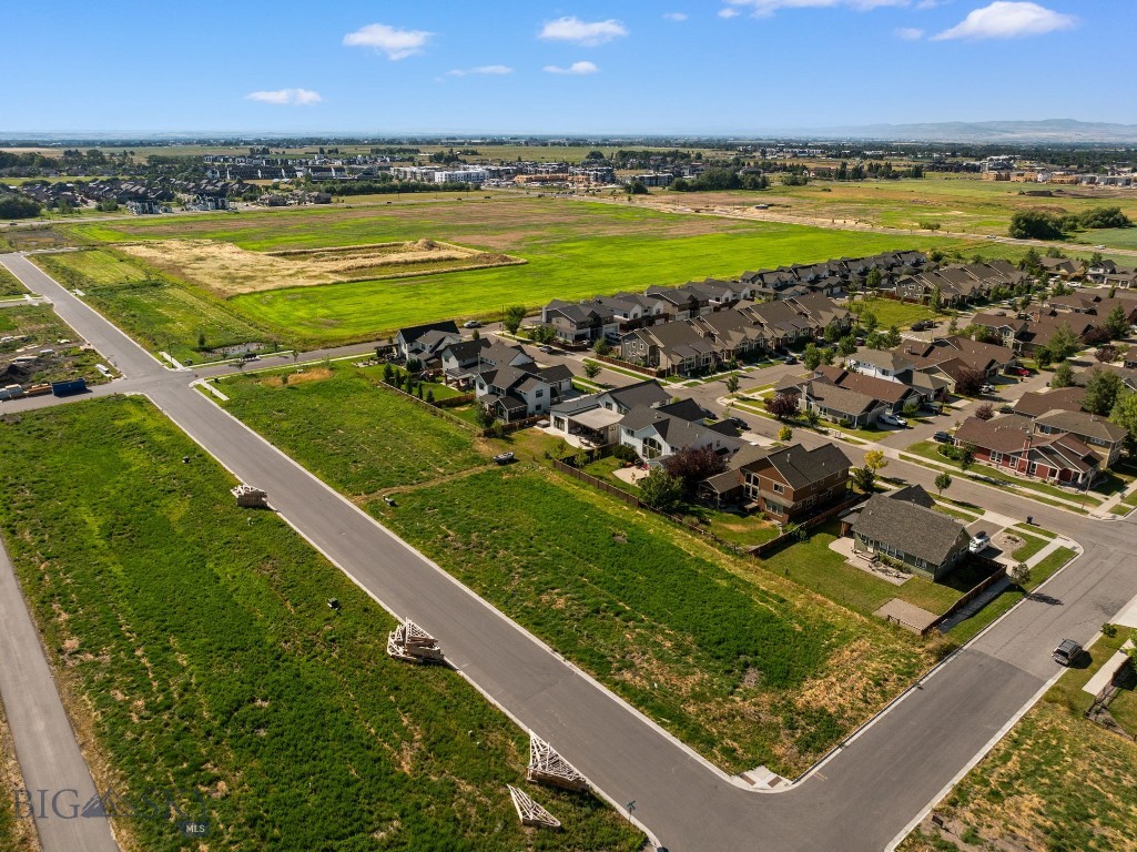 Blackwood Groves - Land