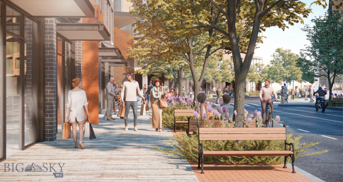 Blackwood Groves - Land