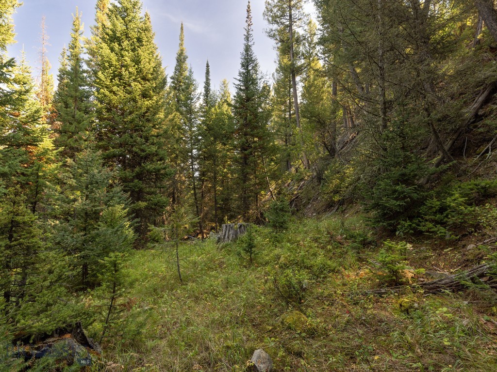 Spanish Peaks Mountain Club - Land