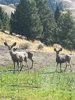 Sun West Ranch - Residential