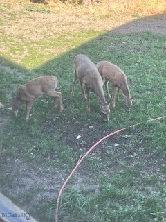 Sun West Ranch - Residential