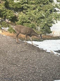 Sun West Ranch - Residential