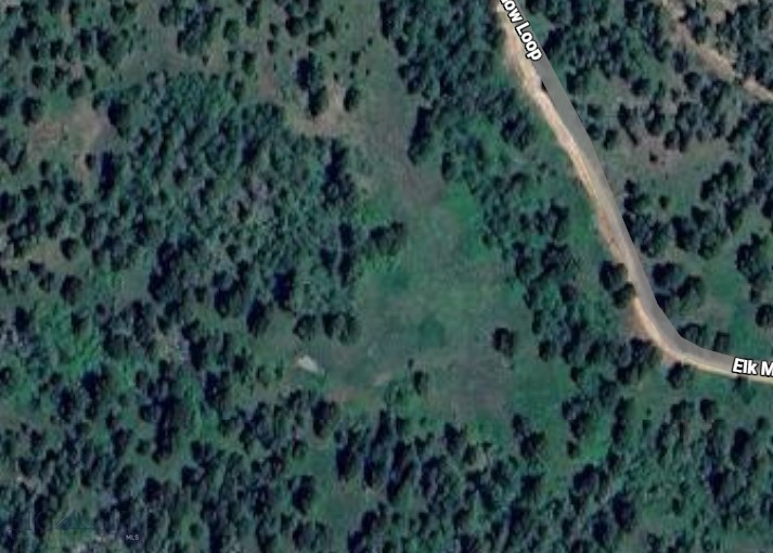 TBD Elk Meadow Loop
